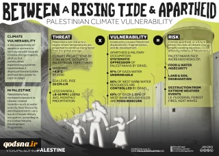 Green Colonialism-infographic