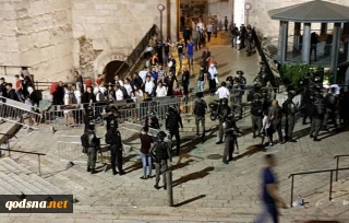 الهلال الأحمر الفلسطيني:

إصابة 19 مواطنًا بجروح مختلفة جراء إطلاق قنابل الغاز الخانق نحوهم