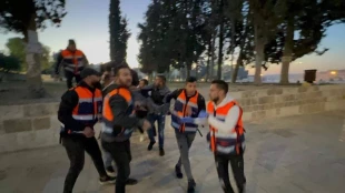 منابع فلسطینی اعلام کردند:

مجروحیت 59 فلسطینی در درگیری های مسجد الاقصی+تصاویر 4