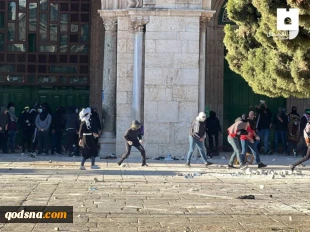 منابع فلسطینی اعلام کردند:

مجروحیت 59 فلسطینی در درگیری های مسجد الاقصی+تصاویر 7