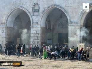 منابع فلسطینی اعلام کردند:

مجروحیت 59 فلسطینی در درگیری های مسجد الاقصی+تصاویر 8