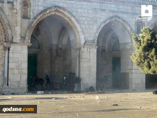 منابع فلسطینی اعلام کردند:

مجروحیت 59 فلسطینی در درگیری های مسجد الاقصی+تصاویر 9