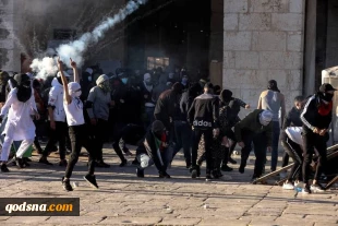 منابع فلسطینی اعلام کردند:

مجروحیت 90 فلسطینی در درگیری های مسجد الاقصی+تصاویر 5