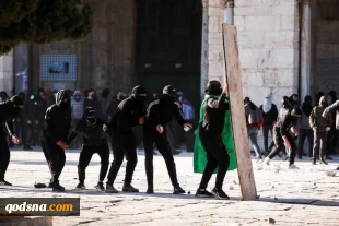 منابع فلسطینی اعلام کردند:

مجروحیت 90 فلسطینی در درگیری های مسجد الاقصی+تصاویر 7