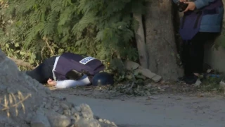في رسالة مساءلة؛

مجموعة كبيرة من الفنانين والمخرجين يطالبون بتحقيق العدالة للشهيدة أبوعاقلة