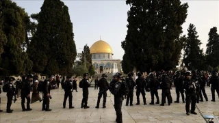 فلسطين المحتلة.. 55 عملية إطلاق نار وإلقاء عبوات متفجرة وحارقة