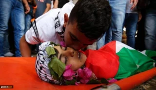 15 Palestinian children killed by Zionist regime so far in 2022: Report