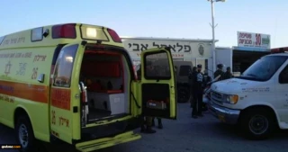 Martyrdom-seeking operation near Ariel settlement