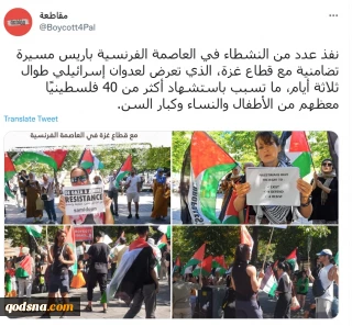 Pro-Palestine supporters rally in Paris- in pictures 