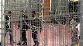 At least 120 Palestinian prisoners launch hunger strike to protest Israeli repressive measures