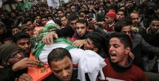 شهادت 89 فلسطینی از ابتدای سال جاری