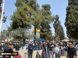 در اولین جمعه ماه رمضان:

100 هزار فلسطینی در مسجد الاقصی برای اقامه نماز جمعه حضور یافتند 2