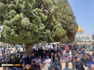در اولین جمعه ماه رمضان:

100 هزار فلسطینی در مسجد الاقصی برای اقامه نماز جمعه حضور یافتند 5