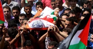 شهادت 252 فلسطینی از ابتدای سال 2023