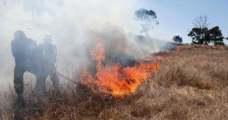 Gaza balloons spark fires in Israeli areas