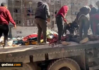 شورای امنیت درباره نسل کشی در النابلسی غزه ابراز نگرانی کرد