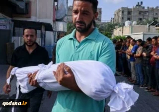 الحرب في اليوم 175 :شهداء بالعشرات والاحتلال يفرج عن اكثر من 100 اسير