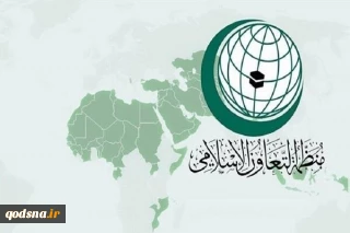 منظمة التعاون الإسلامي تؤكد على حق دولة فلسطين في تجسيد مكانتها السياسية في الأمم المتحدة