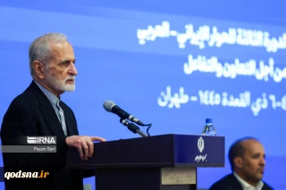 رئيس المجلس الاستراتيجي للعلاقات الخارجية في إيران: حل القضية الفلسطينية فشل نتيجة الدعم الغربي لإسرائيل