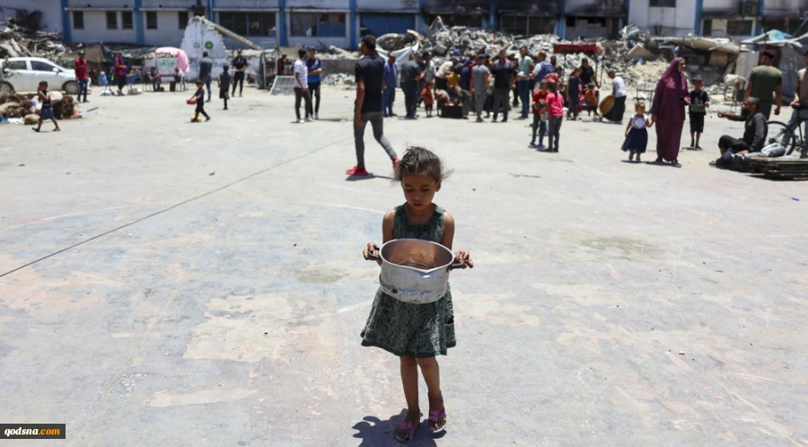 Euro-Med: Israel destroyed 75% of Gaza's farmlands, uses starvation as weapon