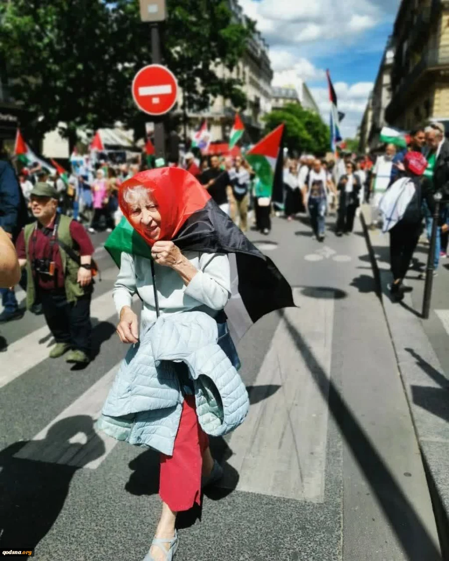 تظاهرات ضدجنگ و همبستگی با غزه در پاریس  5