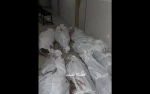 Euro-Med Monitor:

Zionist regime commits horrific massacres in western Gaza 2