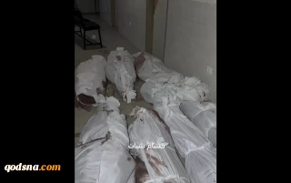 Euro-Med Monitor:

Zionist regime commits horrific massacres in western Gaza