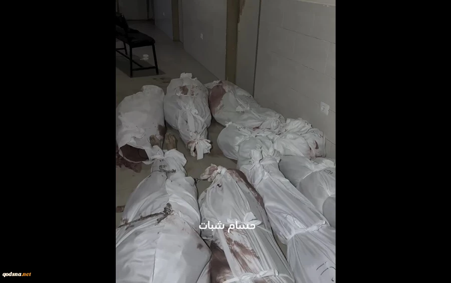 Euro-Med Monitor:

Zionist regime commits horrific massacres in western Gaza 2