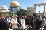 هشدار حماس درباره یورش صهیونیست‌ها به مسجدالاقصی 2