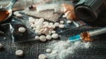 افزایش شدید استفاده از مواد مخدر در بین صهیونیست‌ها  2
