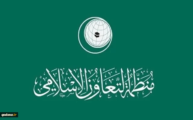سازمان همکاری اسلامی: شورای امنیت جلوی تخلفات اسرائیل را بگیرد 2