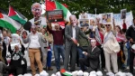 تجمع حامیان فلسطین در مقابل پارلمان ایرلند: «به نسل‌ کشی پایان دهید» 3