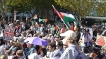 تظاهرات حمایت از فلسطین در استرالیا با دخالت پلیس به خشونت کشیده شد 2