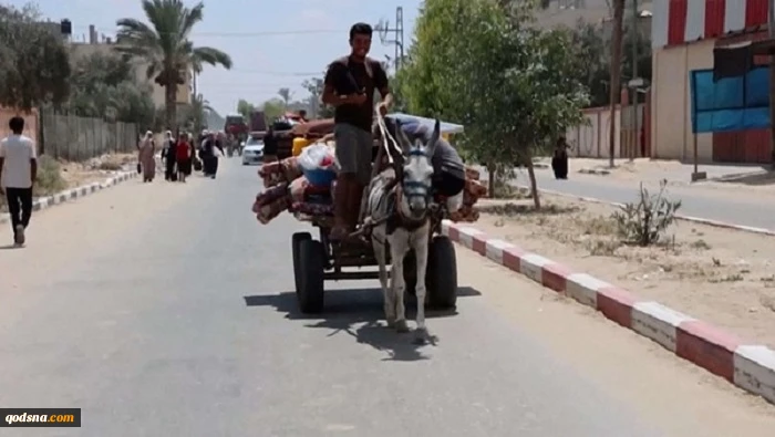 غزه، گران‌ترین جای جهان 3