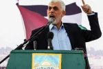 توسط گروه بین المللی هندیران؛

نشست ادبی «یحیای شهید» برگزار شد 2