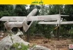 با ندای «لبیک یا نصرالله» انجام شد؛

حمله پهپادی حزب‌الله به پایگاه هوایی رژیم صهیونیستی در تل‌آویو 2