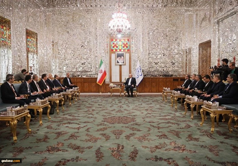 رئيس مجلس الشورى الاسلامي: ايران وسوريا تضطلعان بدور فريد في المنطقة 2