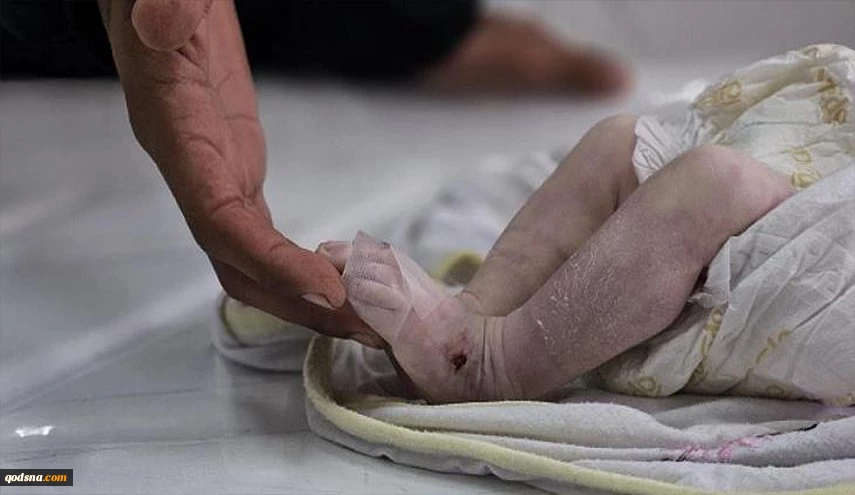 في اليوم 451 للعدوان..

قوات الاحتلال تواصل ابادنها الجماعية بحق الفلسطينيين في غزة  2
