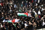 در سال گذشته میلادی.
۵۳۴ فلسطینی در کرانه باختری شهید شدند 2