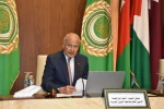اتحادیه عرب: نقشه جعلی صهیونیست‌ها بازتابی از نیات افراطی دولت اشغالگر است 2