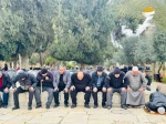 حضور ۵۰ هزار نفر در نماز جمعه مسجد الاقصی  7