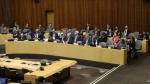 The Arab Group at the UN, along with group of UN ambassadors, has strongly rejected any plans to “displace” Palestinians in Gaza, deeming it as a violation of international law.
