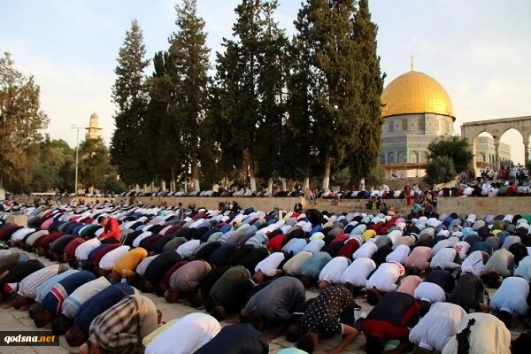 رئیس هیات علمای فلسطین:

طرح‌های اشغالگران علیه «مسجدالاقصی» تعدی به جهان اسلام است 2