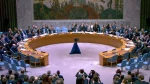 حقوقدان فلسطینی:
وتوی آمریکا مانع بزرگ به سرانجام رسیدن اقدامات حقوقی علیه تل‌آویو است 2