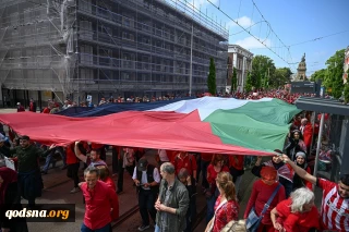 Mass protests in cities and world capitals condemning aggression against Gaza