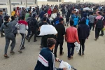 غزة: أكثر من 50 شهيداً و340 جريحاً في مجازر الاحتلال بـ