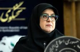 سخنگوی دولت جنایات رژیم صهیونیستی در غزه را محکوم کرد 2