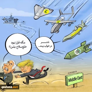 توهم خلع‌سلاح