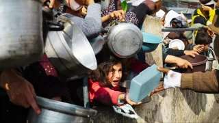 انتخاب بین مرگ و جستجوی غذا