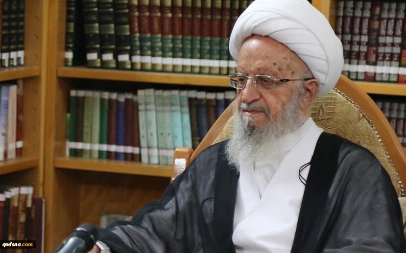 آیت الله مکارم شیرازی:
طومار جرثومه فساد به دست مومنان درهم پیچیده خواهد شد 2